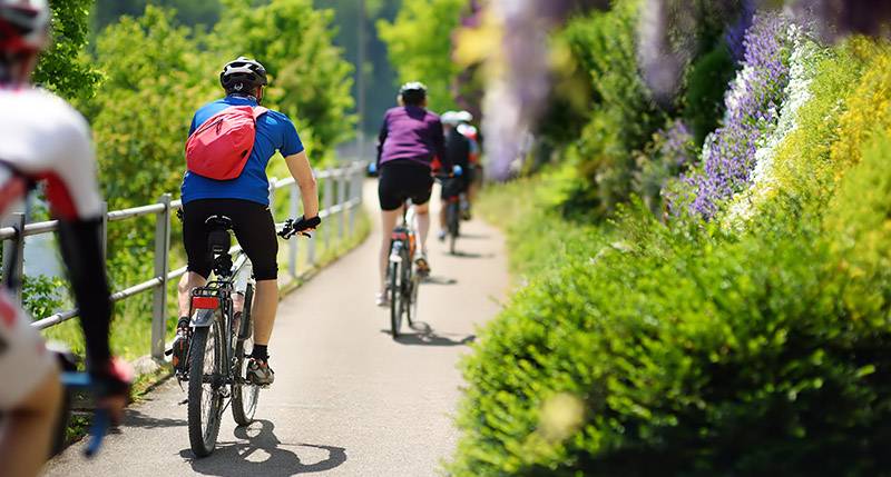 Home group of sportive man cycling in sunny park in hot summer day. switzerland, europe