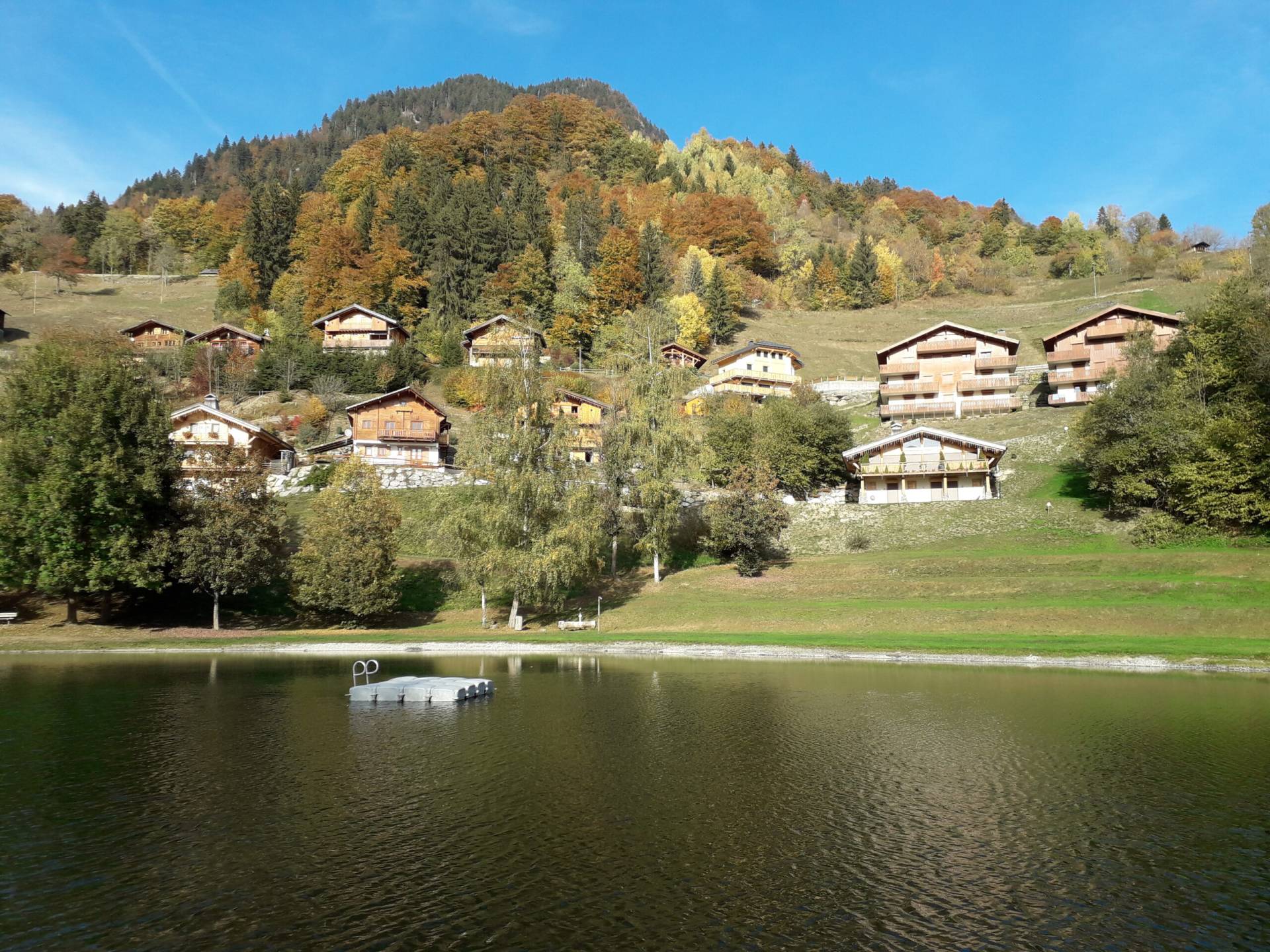 Home 20181019 160422(1)